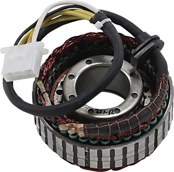 Stator Rick's Motorsport Electric