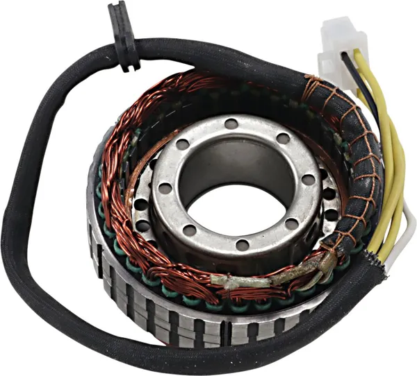 Stator Rick's Motorsport Electric