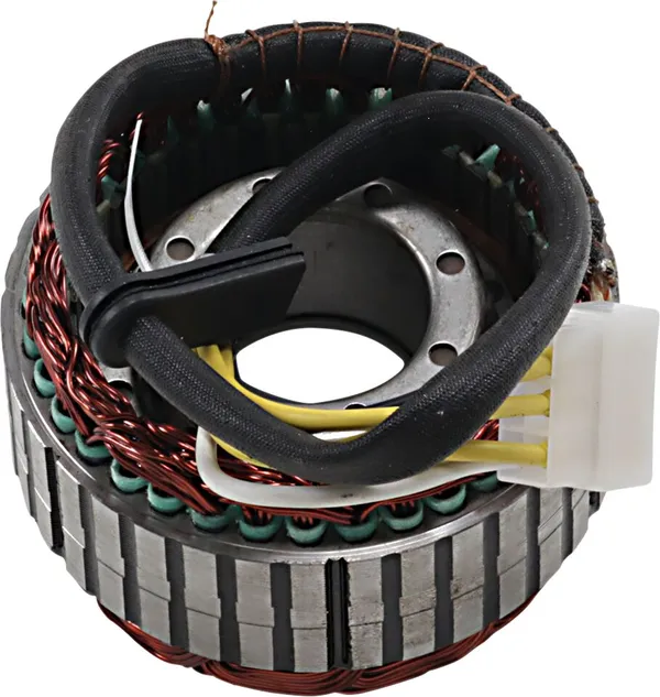 Stator Rick's Motorsport Electric