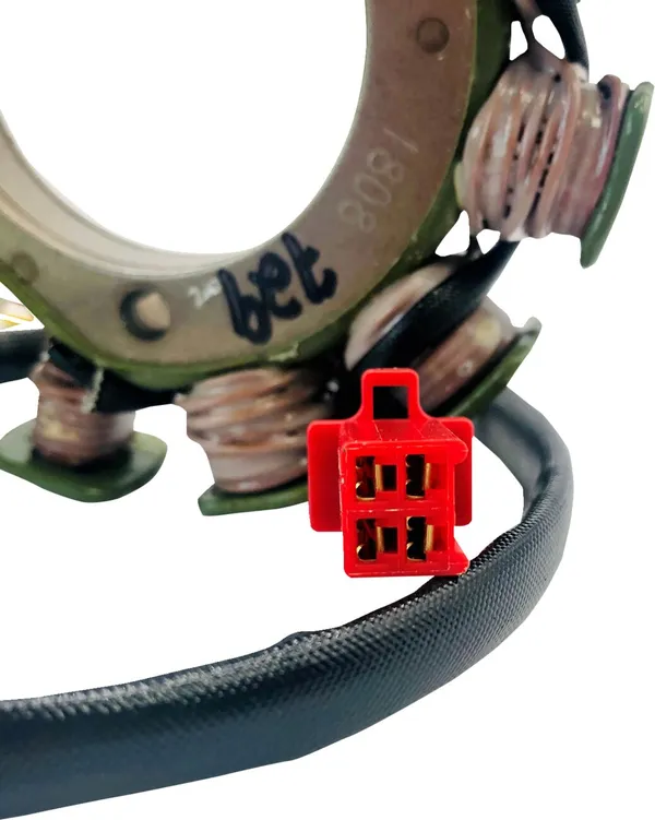 Stator Rick's Motorsport Electric - vue 2