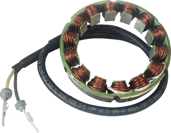 Stator Rick's Motorsport Electric
