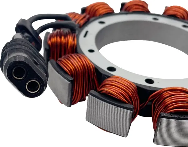 Stator Rick's Motorsport Electric - vue 2