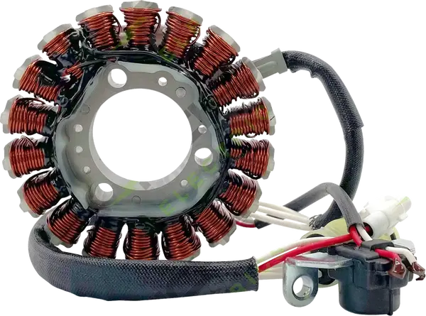 Stator Rick's Motorsport Electric