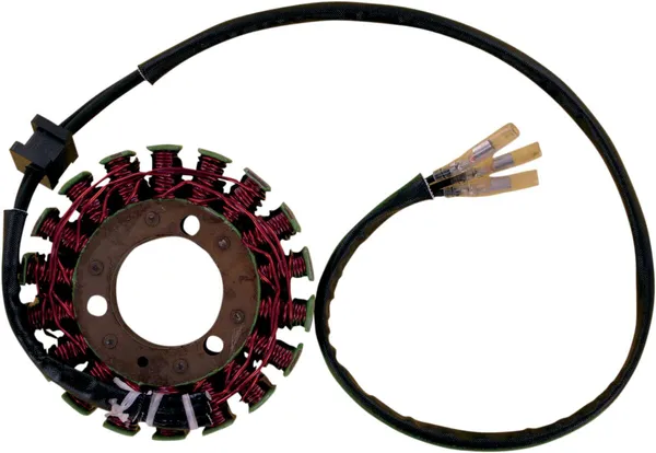 Stator Rick's Motorsport Electric pour Kawasaki