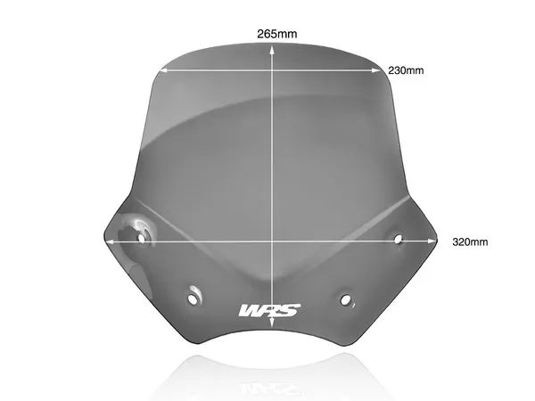 Pare-brise WRS - vue 2