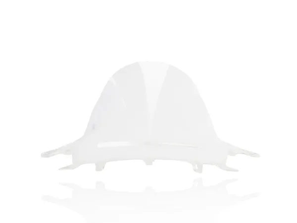 WRS Windscreen race R1/M transparent - vue 4