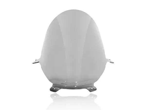 Écran de protection WRS Panigale V4/S - vue 3
