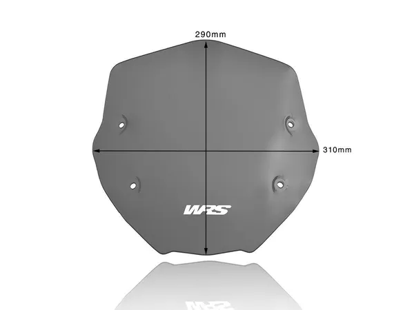 Pare-brise sport WRS R1250R teinté S - vue 3