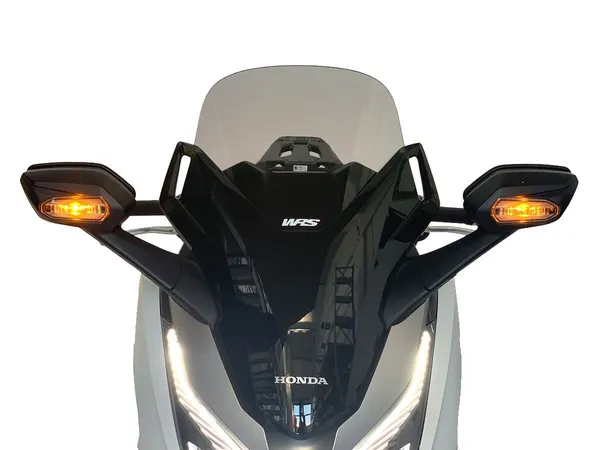Pare-brise standard WRS Forza 300 S - vue 5