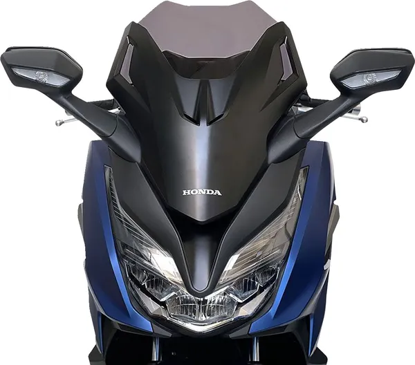 Pare-brise WRS pour scooter - vue 2