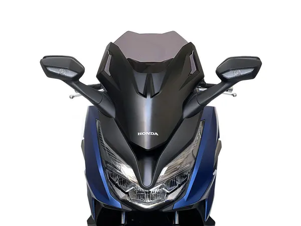 Pare-brise WRS pour scooter - vue 6
