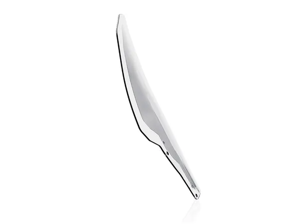 Pare-brise WRS pour scooter - vue 3