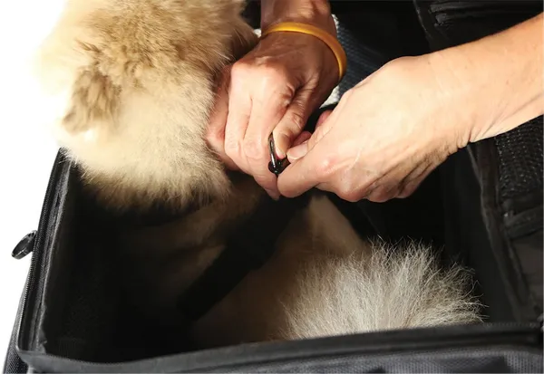 Sac de transport pour animaux Route 1 Rover Nelson Rigg - vue 9