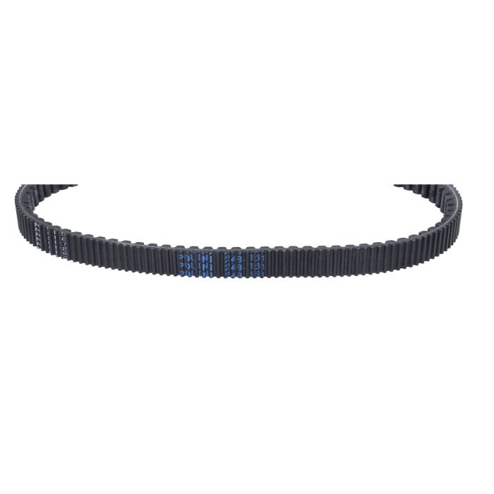Courroie Polini 867x22 euro 4 pcx 125, pcx 150 248.131 - vue 3