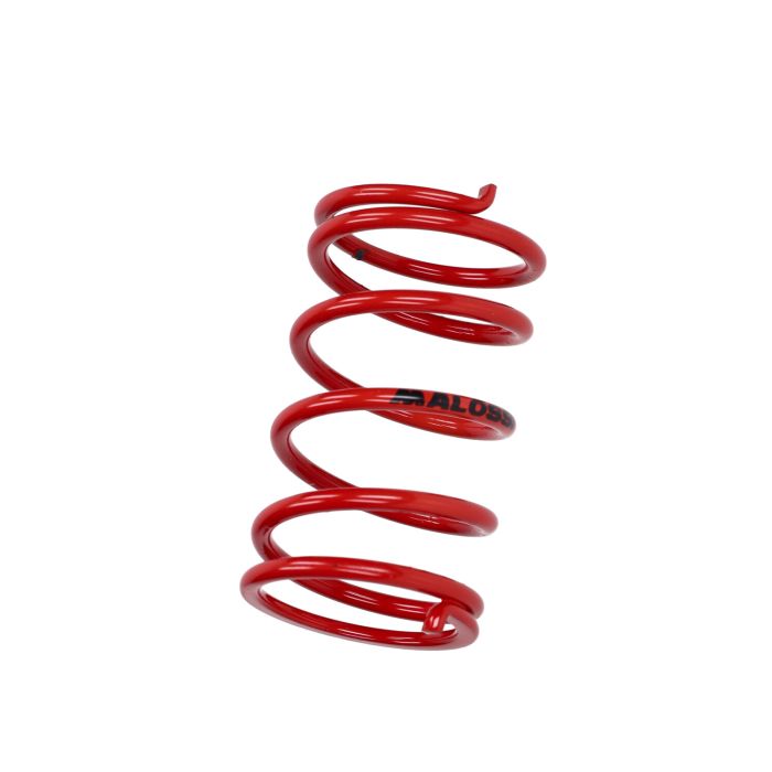 Ressort de pression d'embrayage Malossi 4.1 rouge 296955.r0