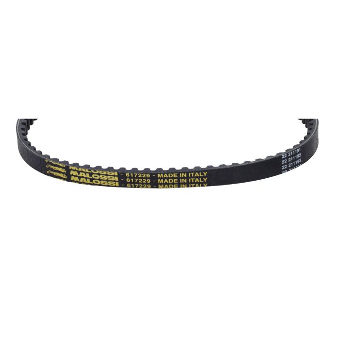 Courroie Malossi Kevlar 735x17 Zip 2T Sfera 617229