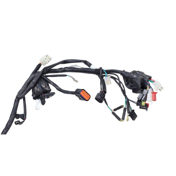 Faisceau électrique Kymco Original Agility Euro-3 7003015e3 - vue 2