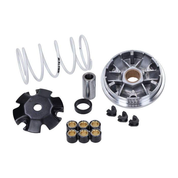 Variateur complet Malossi buxy, elyseo, elystar, jet force, looxor, ludix, speedfight, speedfight 3, viva, viva va2008 2t, zenith 518752 - vue 3