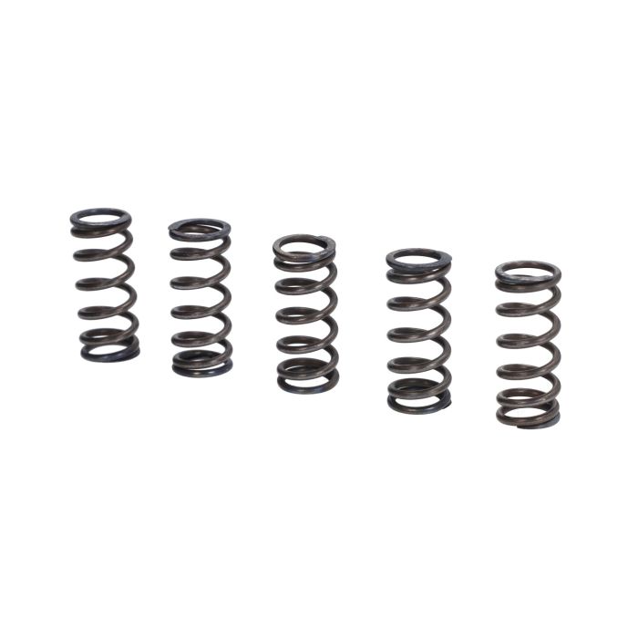 Ressort d'embrayage Italkit 5 pièces Derbi Senda GPR VM.12.4 - vue 2
