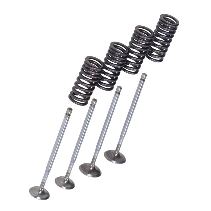 Jeu de soupapes Malossi + ressorts 125/300cc beverly, gts, gtv, mp3, Runner 2714047 - vue 2