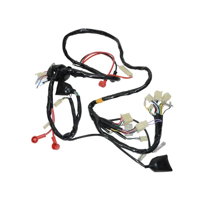Faisceau électrique complet BTC Riva Chine LX/Napoli VX50