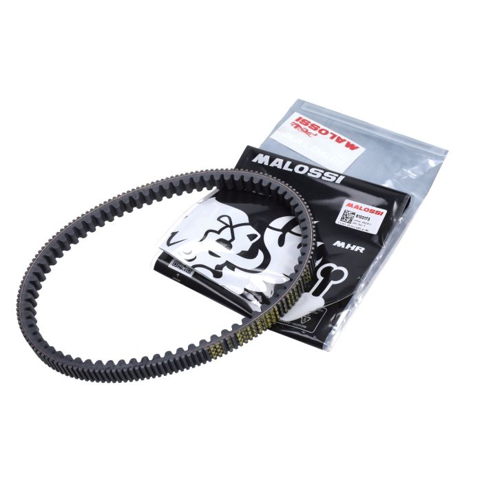 Courroie Malossi Euro-5/5+ 825x22.2 MP3-310cc / GTS 310 - vue 2