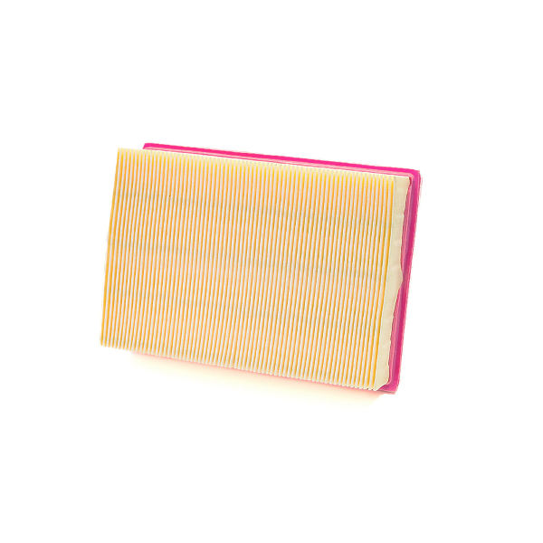 Champion Filtre à air CAF9009
