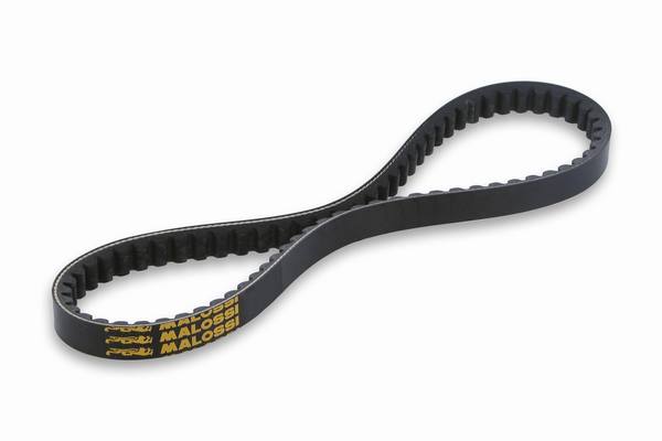 Courroie Malossi X Special 796 mm x 16,5 x 8 - 30°