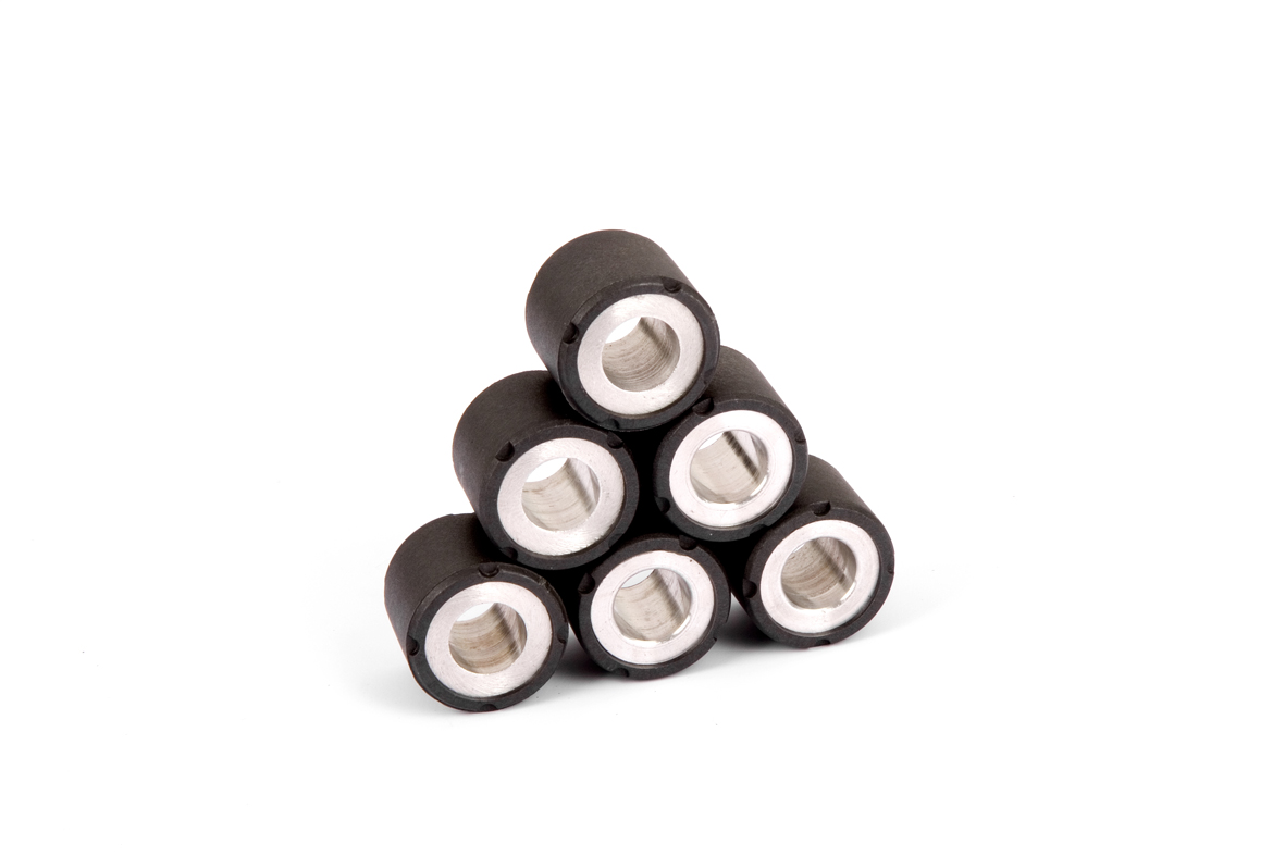 Kit Galets de Variateur Sifam Ø20x17 - 8.5g (x6)