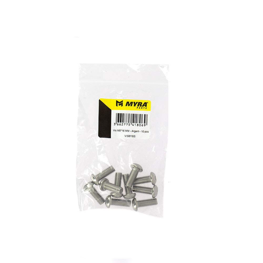 Vis M6*16 MM Argent 10 pcs Myra - vue 2