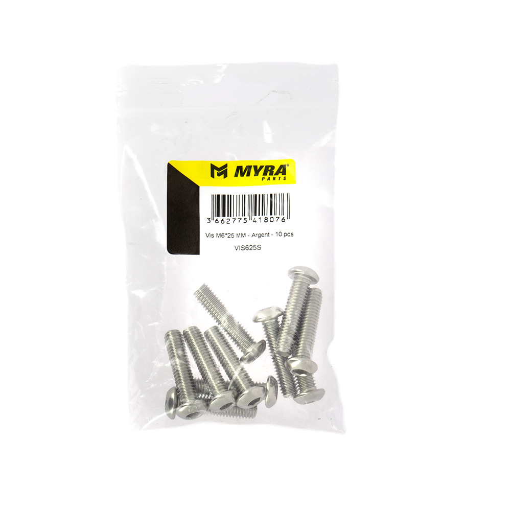 Vis M6x25 mm Argent Myra - 10 pièces - vue 2