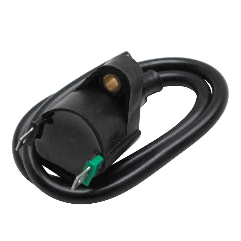 Bobine d'allumage électronique Peugeot 103 P2R