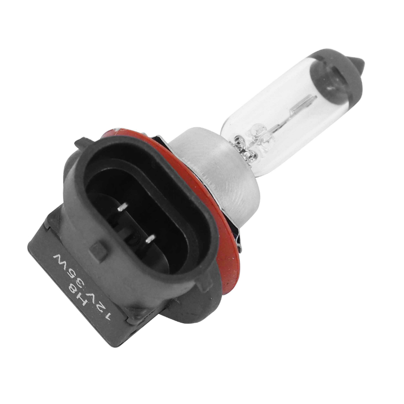 Ampoule halogène H8 12V 35W P2R culot PGJ19-1 - vue 2