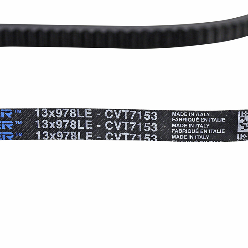 Courroie Dayco Piaggio 50 Ciao Tre 1971-1999 (978 x 12,5) - vue 3