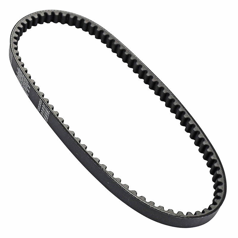 Courroie Dayco 730 x 15 x 8 Peugeot 50 SC / Honda 50 Lead - vue 2