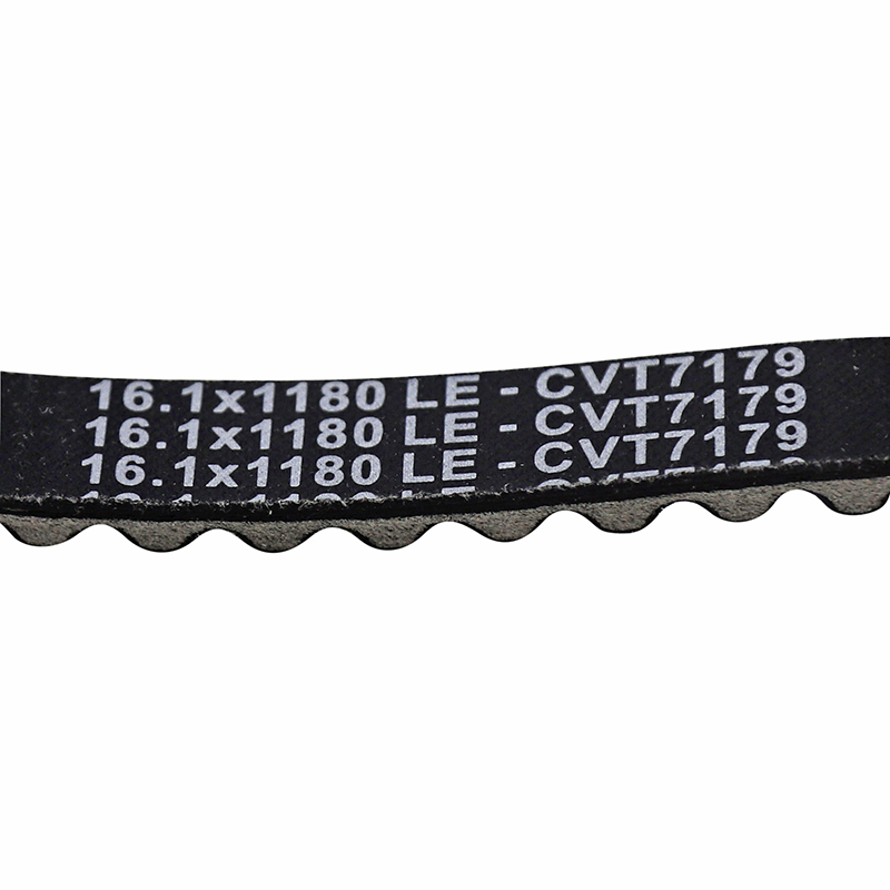 Courroie Dayco adaptable Peugeot Fox-Honda Wallaroo 1180 x 16 - vue 3