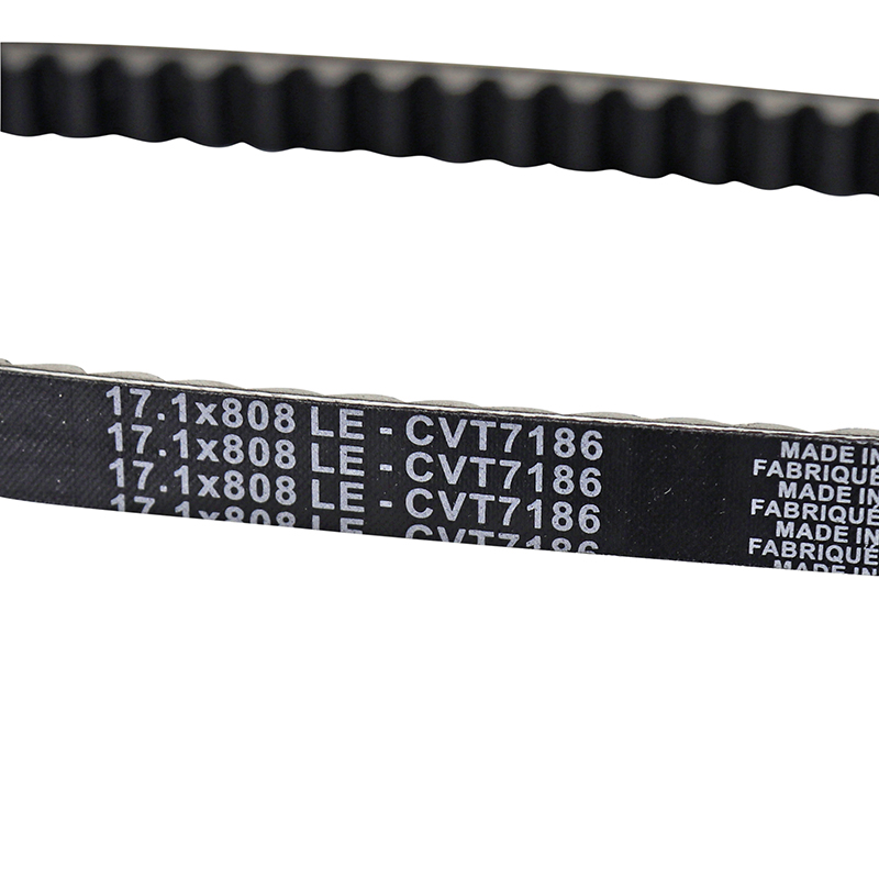 Courroie Dayco Power adaptable Benelli 50 491, Italjet Naked 50 Formula, Malaguti 50 Crosser, Peugeot 125 SV (808 x 16,8 x 9) - vue 3