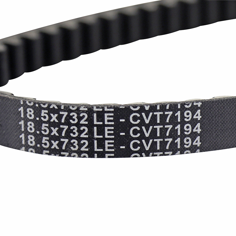 Courroie Dayco Piaggio Zip 50 2T/4T, Vespa LX 2T/4T, Vespa ET2, Vespa ET4, Italjet Torpedo 50 (732 x 18,5 x 8) - vue 3