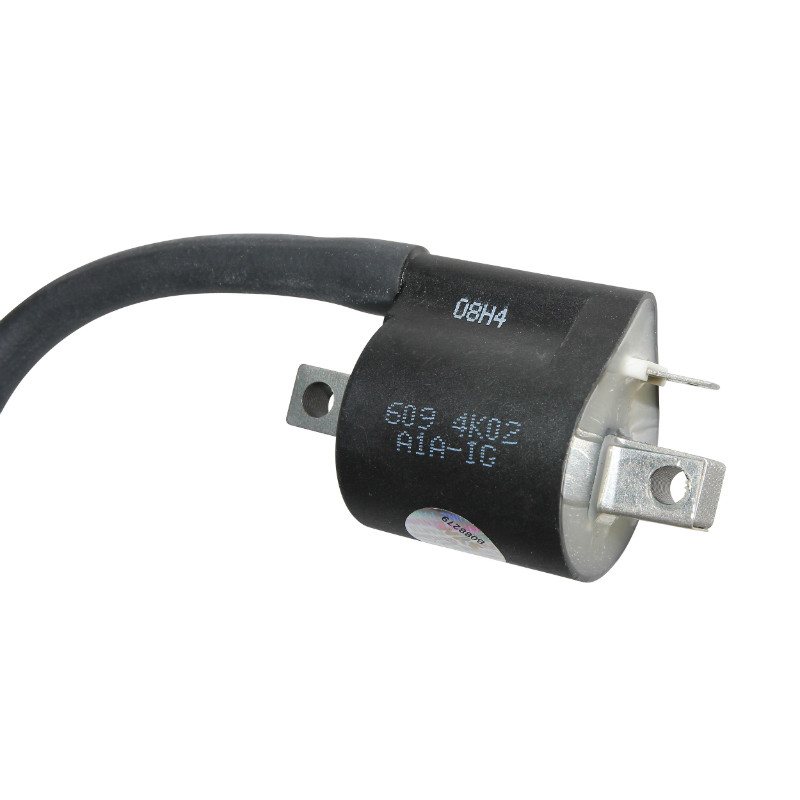 Bobine d'allumage Sym Mio 50 adaptable - vue 2