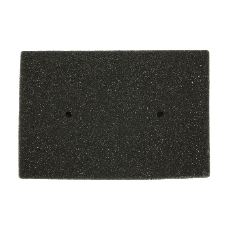 Filtre à air OE de rechange HIFLOFILTRO - vue 2
