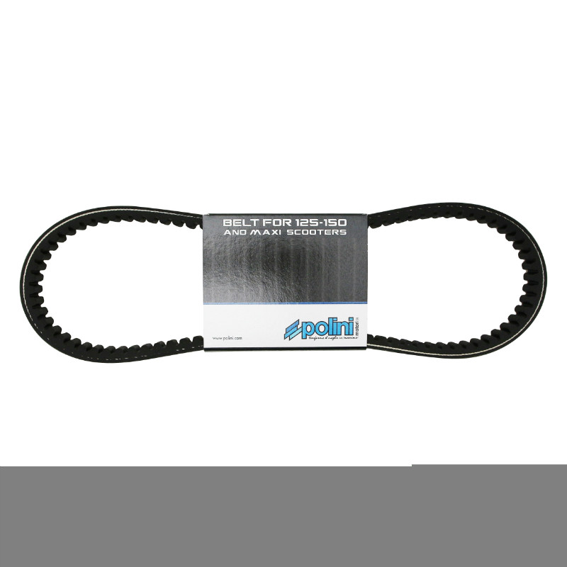 Courroie Polini original maxiscooter Honda 125 SH 2001+ (922 x 22,5 x 10 MM x 30°) - vue 2