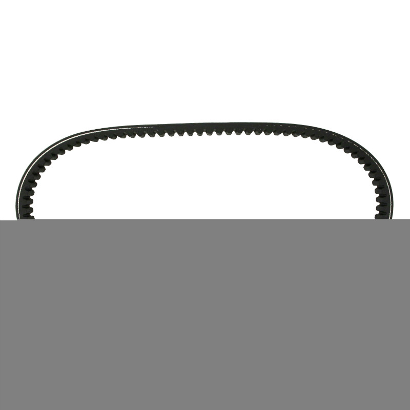 Courroie Polini original maxiscooter Honda 125 SH 2001+ (922 x 22,5 x 10 MM x 30°) - vue 3