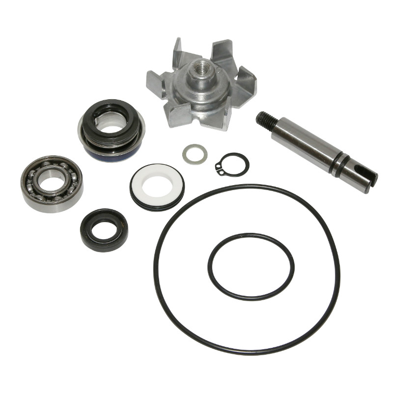Kit réparation pompe à eau Yamaha TMAX 500 2001-2011 P2R