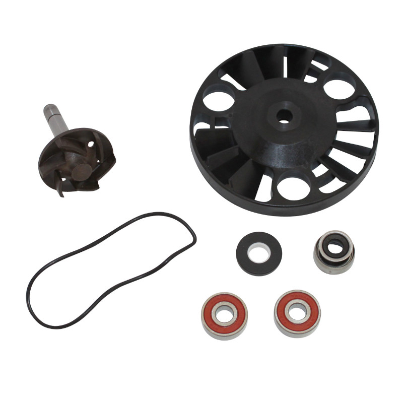 Kit réparation pompe à eau Piaggio 125 X8, X9, Beverly, Vespa GTS, Gilera 125 Nexus, Runner, Aprilia 125 Atlantic - Roulements diamètre 22 - Top Performances