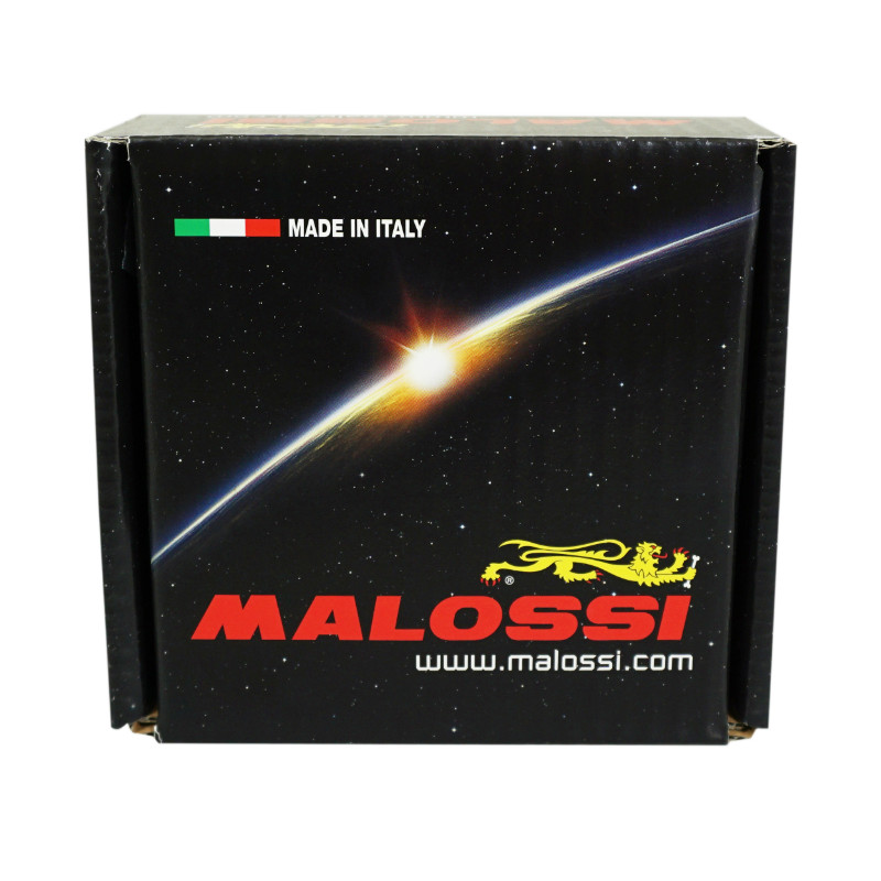 Boîtier CDI Malossi Force Master 2 maxiscooter Piaggio 350 MP3 2018+ - vue 2