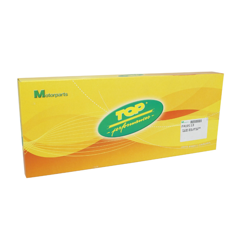 Filtre à air maxiscooter adaptable Kymco 125 Dink E3 2006-2010 Top Performances - vue 4