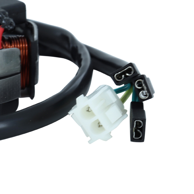 Stator d'allumage SGR 50 à boîte adaptable moteur Derbi 50 Senda 1997-1999, 2003-2014 sans démarreur électrique (6 pôles) - vue 2