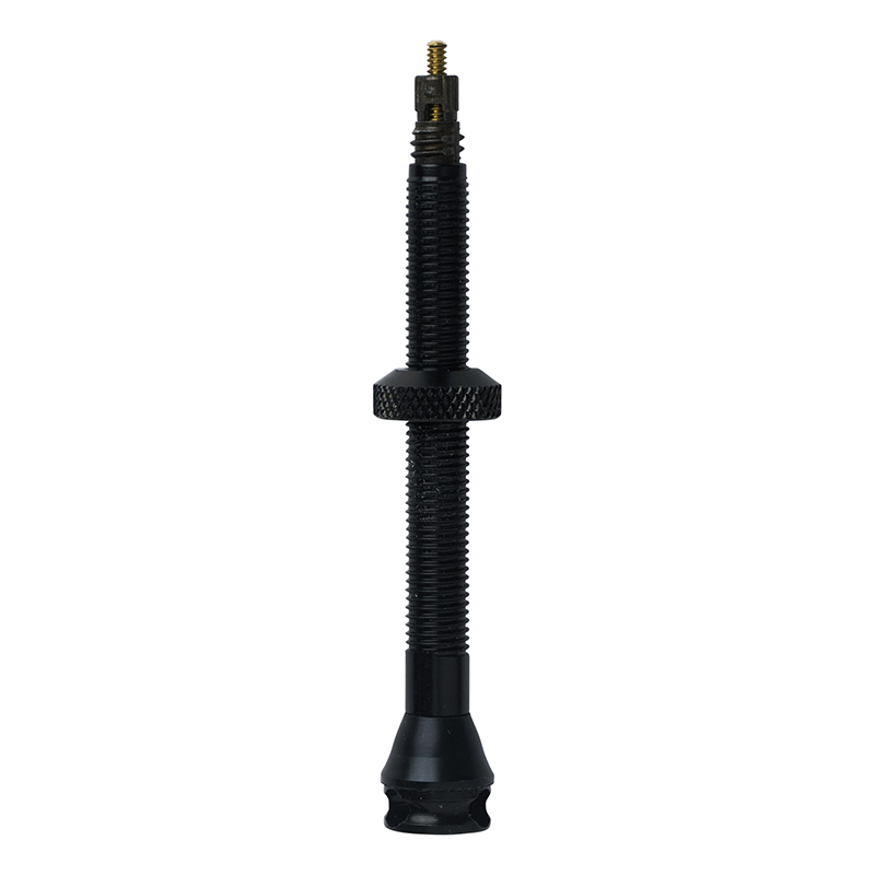 Valve de pneu tubeless Presta Schwalbe 60 mm obus démontable (paire) - vue 2