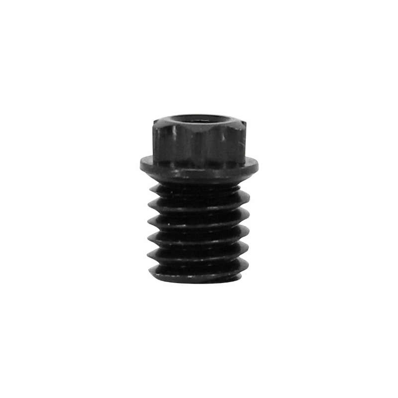 Écrou de rayon DT Swiss Torx M5 noir (unité) - vue 3