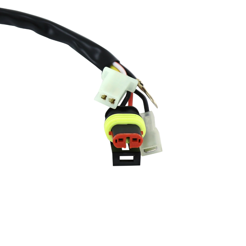 Stator d'allumage 50 adaptable Beta 50 RR 2005-2012 - vue 2